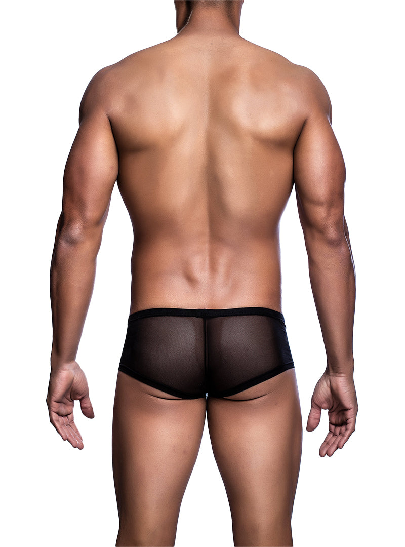 Malebasics Sheer Hip-Hugger Trunks