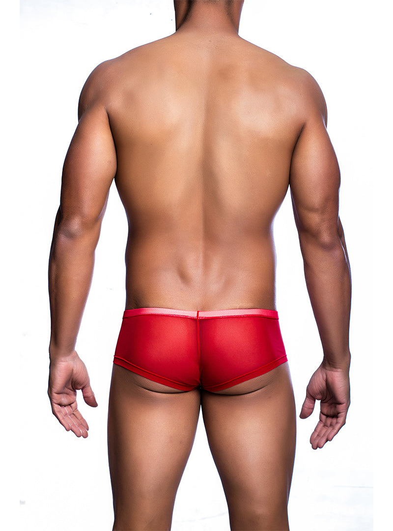 Malebasics Sheer Hip-Hugger Trunks