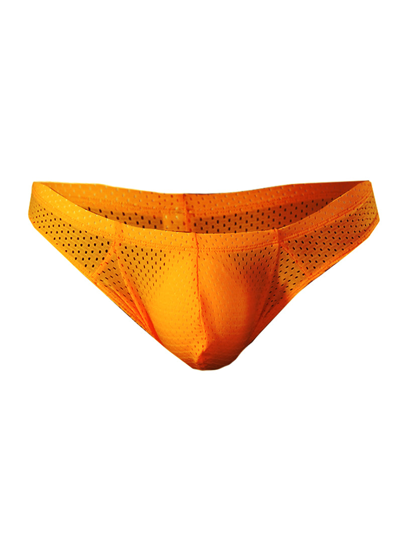 Pride Mesh Bunz Brief with Plus Pouch