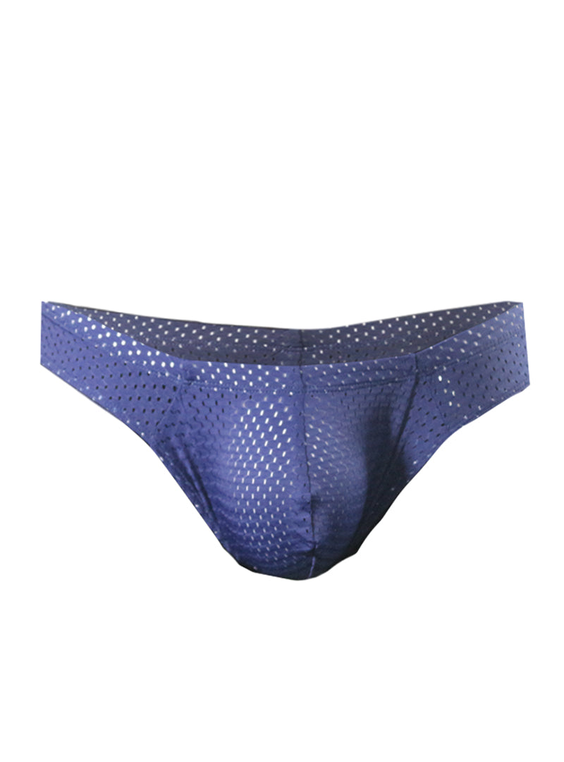 Pride Mesh Bunz Brief with Plus Pouch