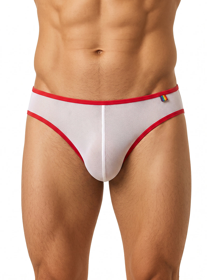 White Pride Mesh Gossamer Bikini Front