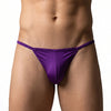 Purple Pride Metro String Bikini Front