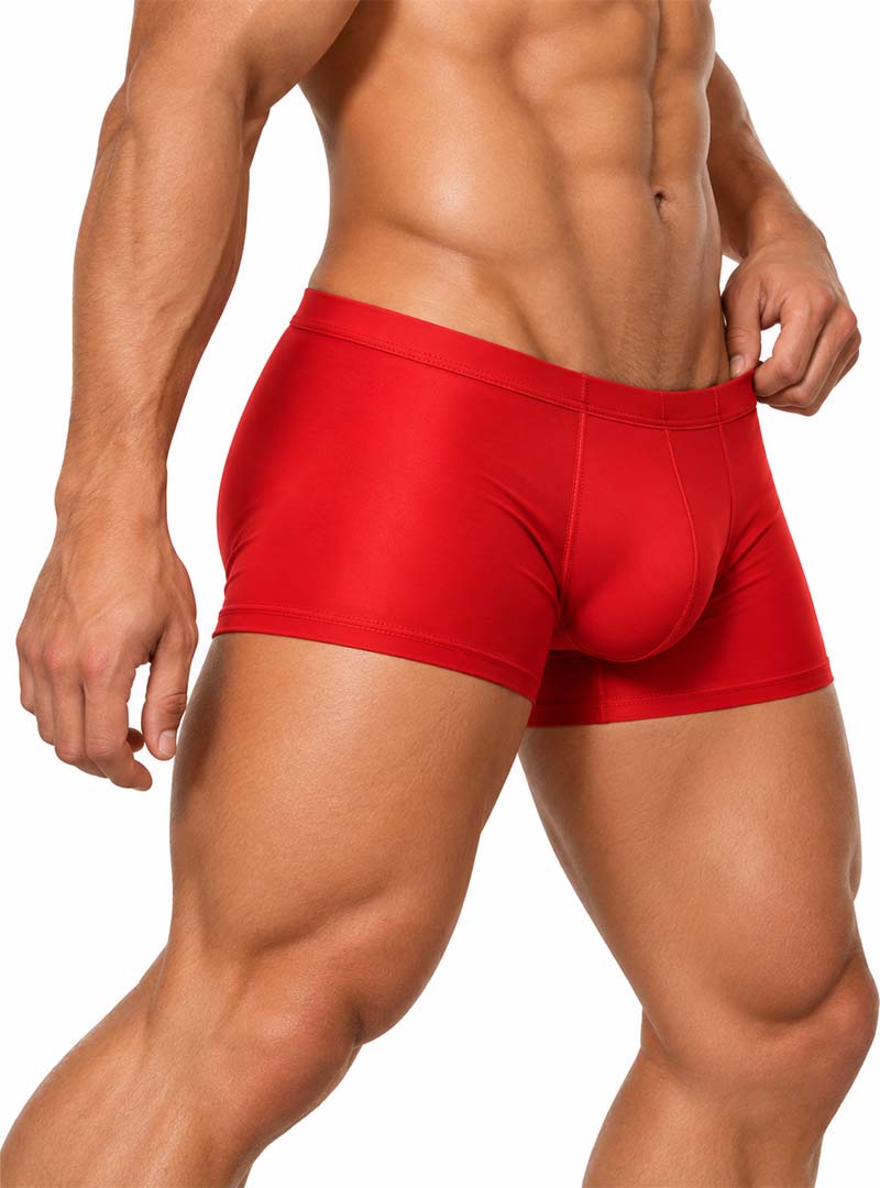 Pride Metro Trunk, Men's Underwear with Pouch