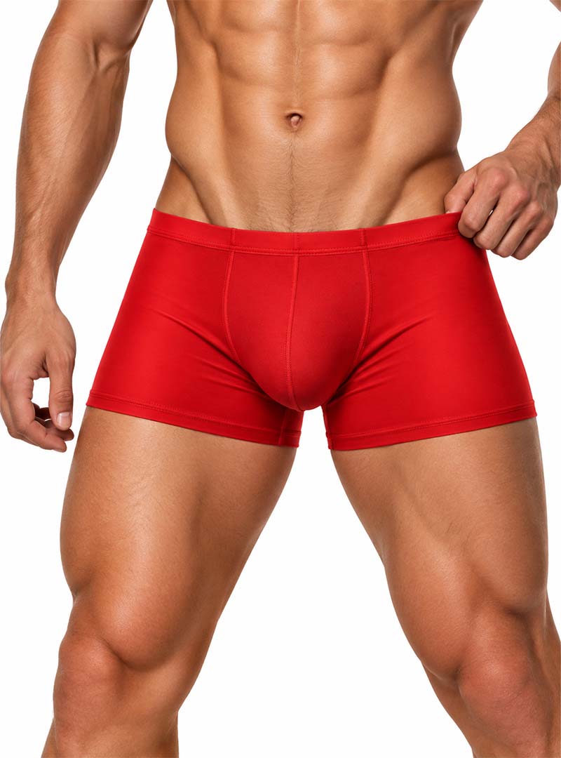 Pride Metro Trunk, Men's Underwear with Pouch