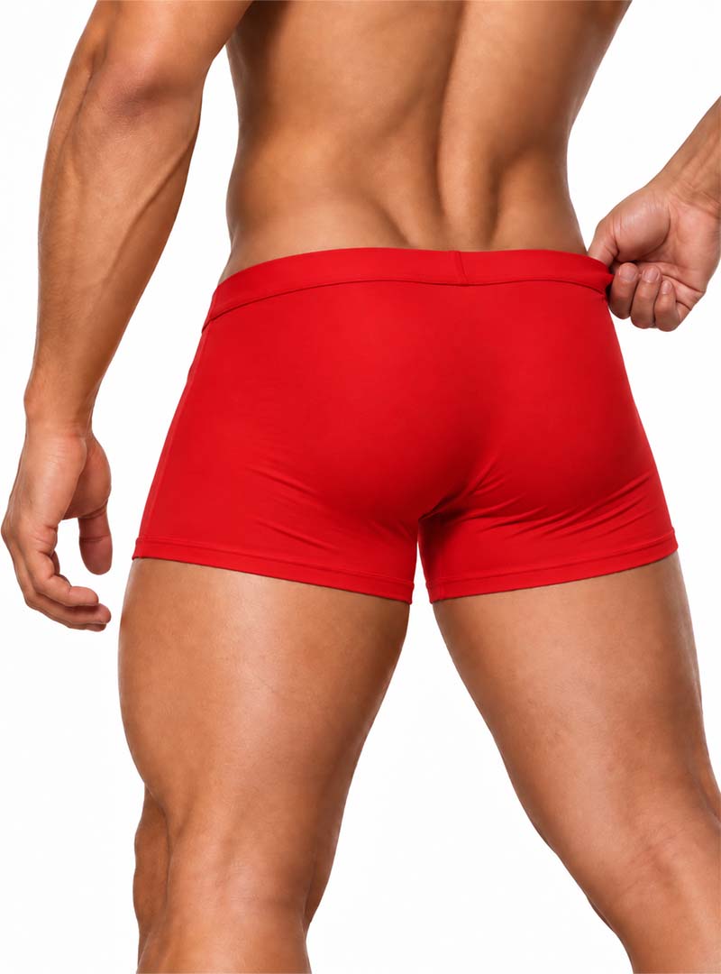 Pride Metro Trunk, Men's Underwear with Pouch