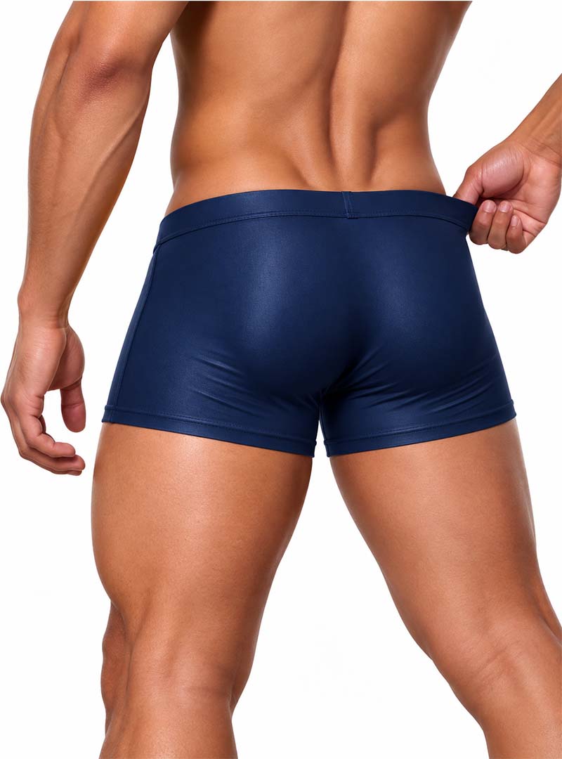 Pride Metro Trunk, Men's Underwear with Pouch