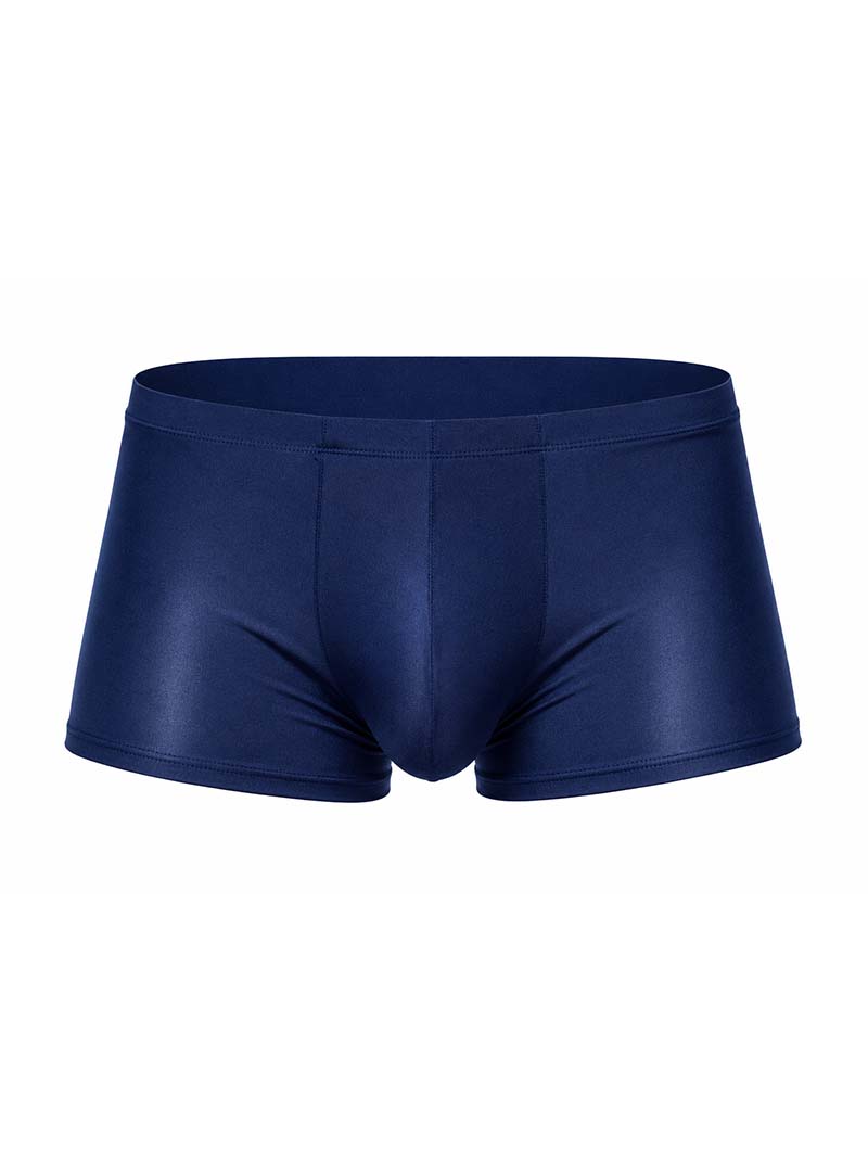 Navy Pride Metro Trunk