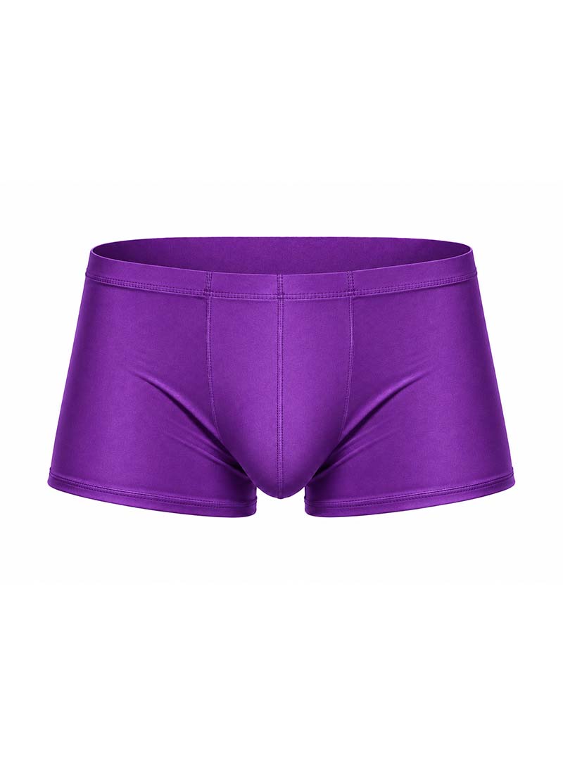 Purple Pride Metro Trunk