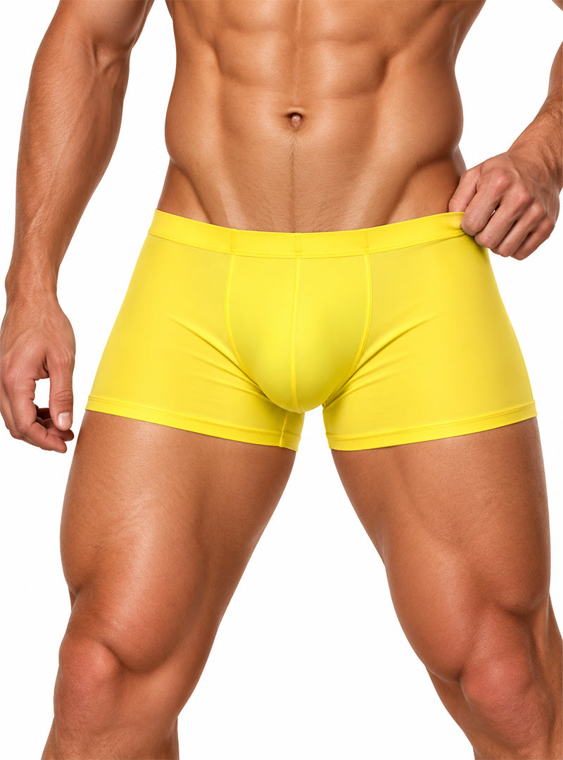 Pride Metro Trunk, Men's Underwear with Pouch