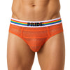 Orange Pride Sheer Mesh Archery Brief Front