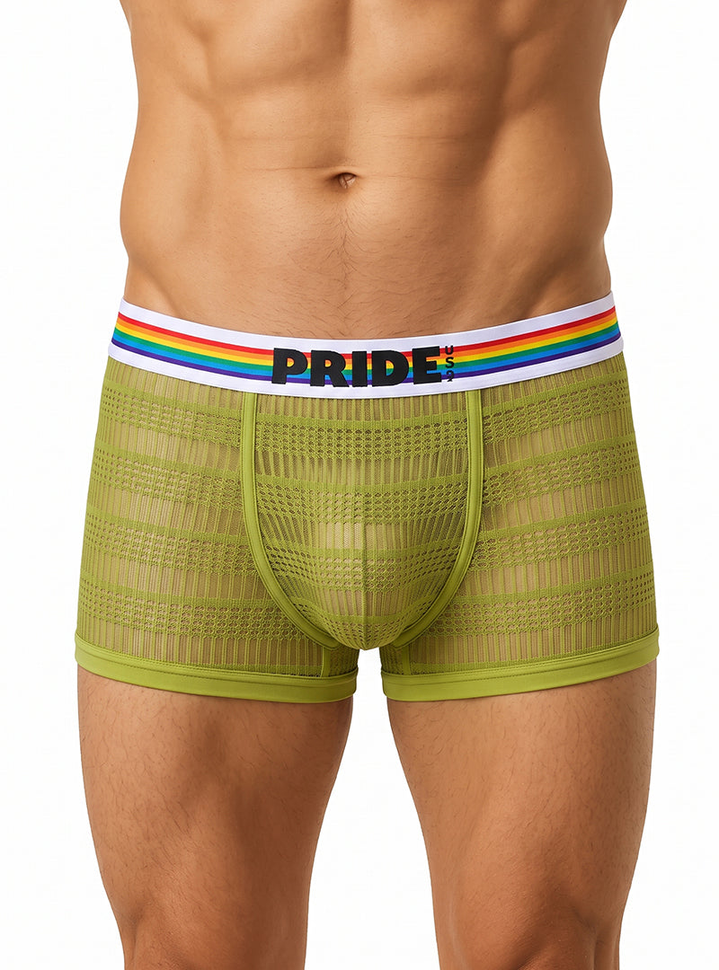 Green Pride Sheer Mesh Archery Trunk Front
