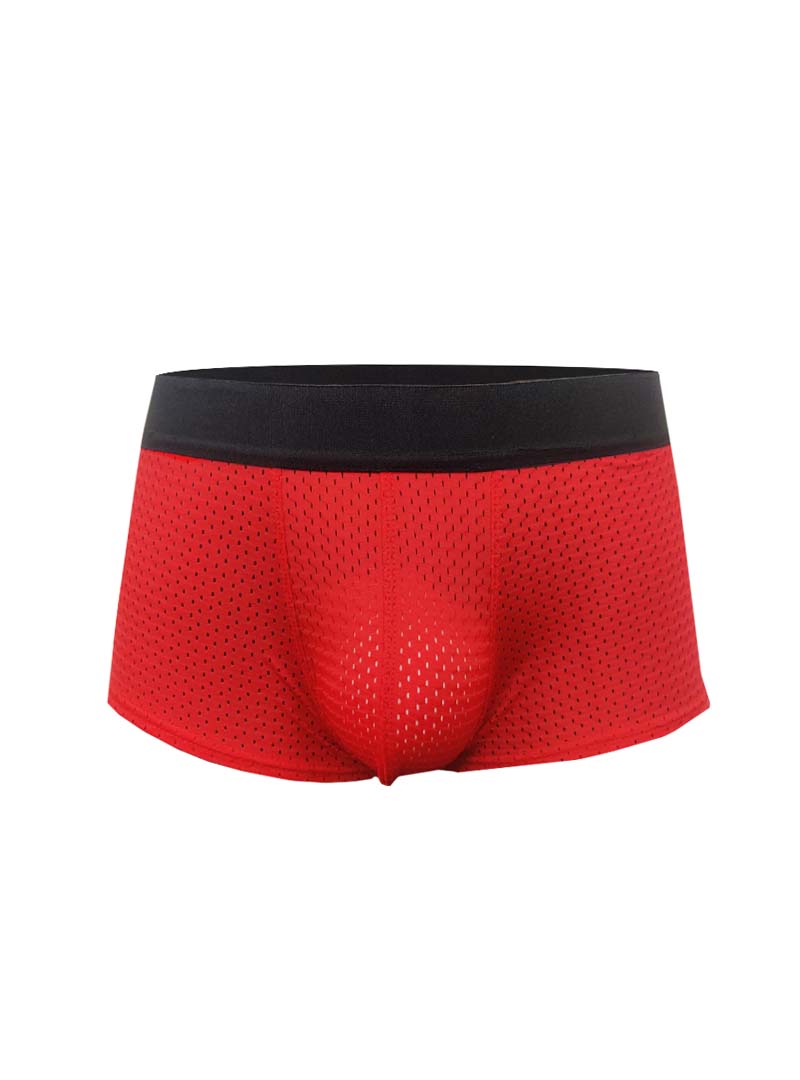 Pride Mesh Trunk