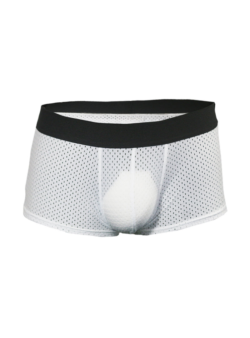 Pride Mesh Trunk