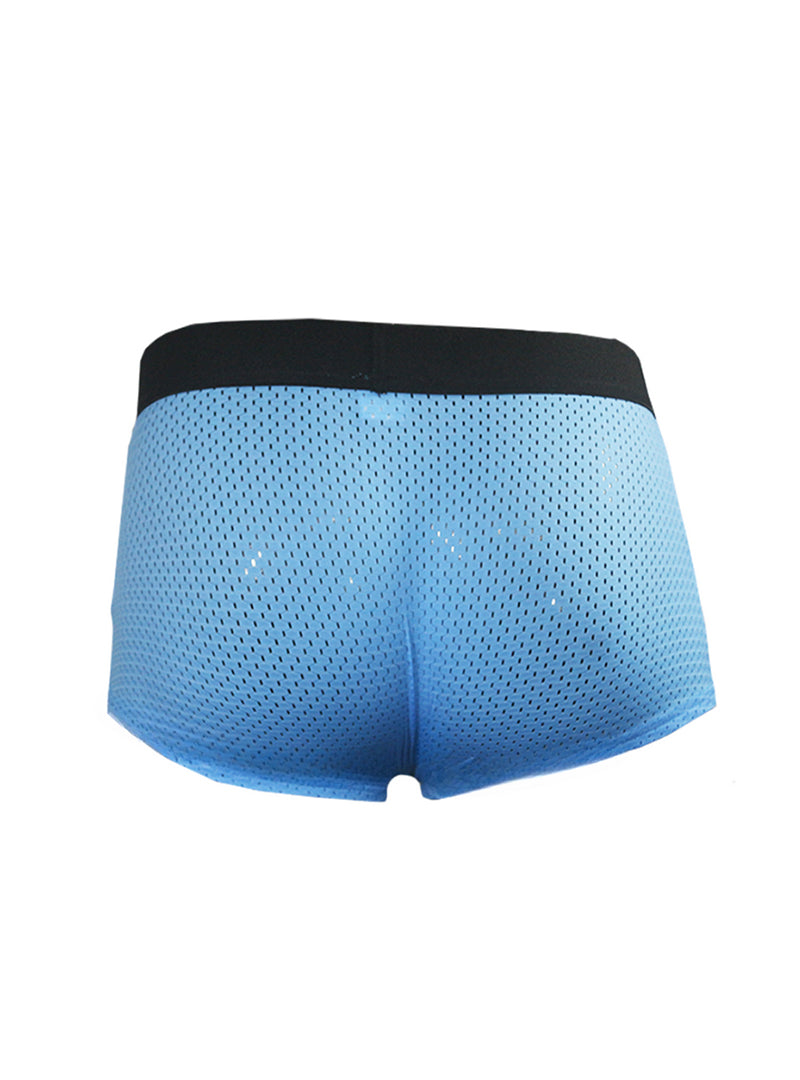 Pride Mesh Trunk