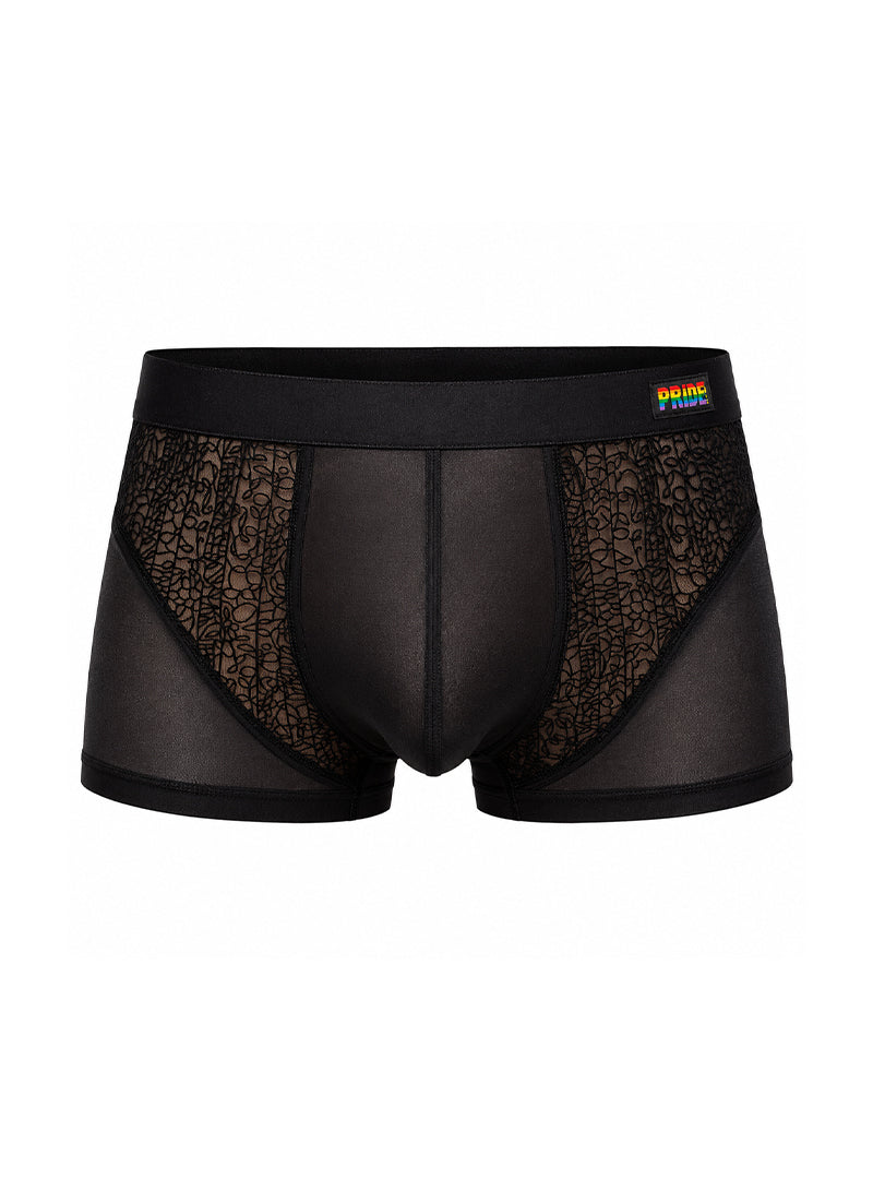 Pride Venice Lace Men's Trunk