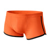 Pride Vince Trunk