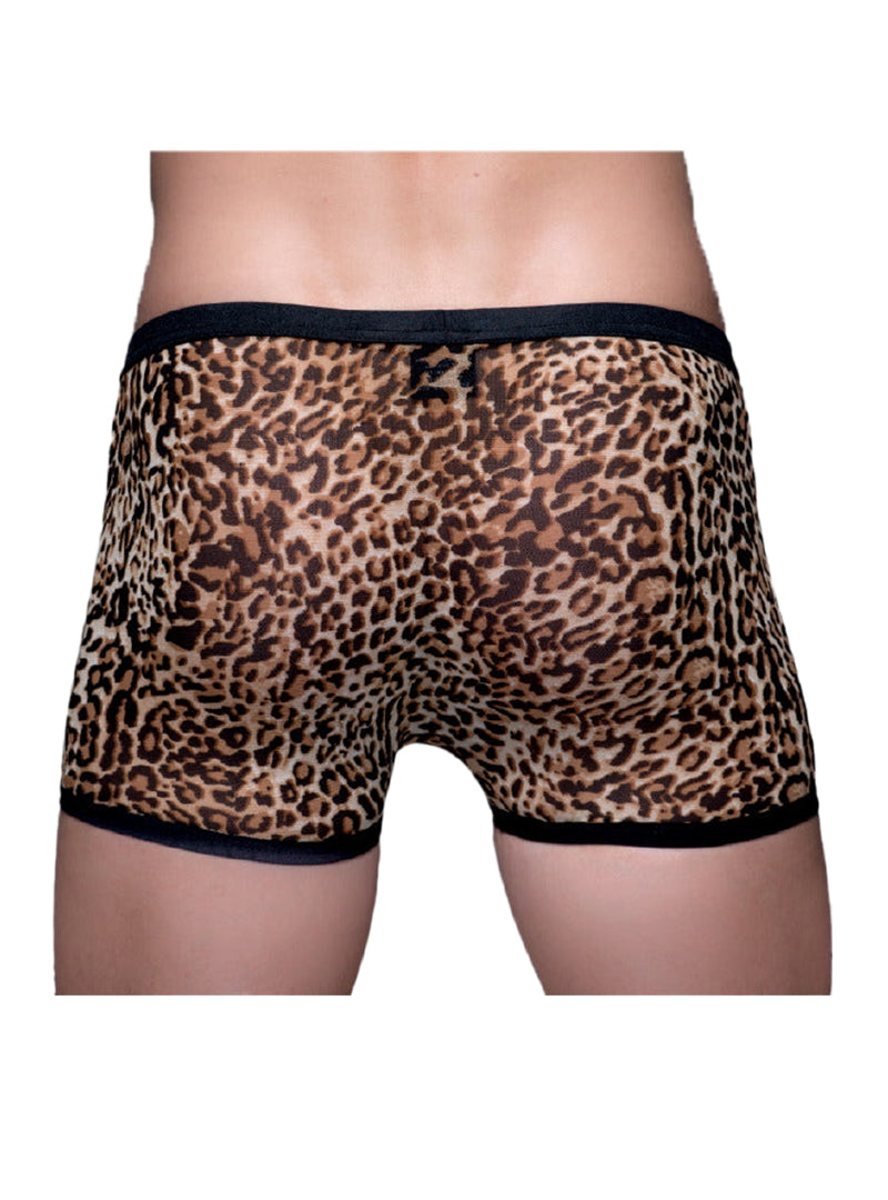 Pride Leopard Sheer Catty Trunk