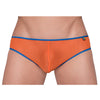 Pride Mesh Gossamer Bikini