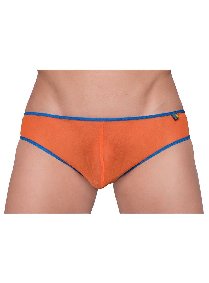 Pride Mesh Gossamer Bikini