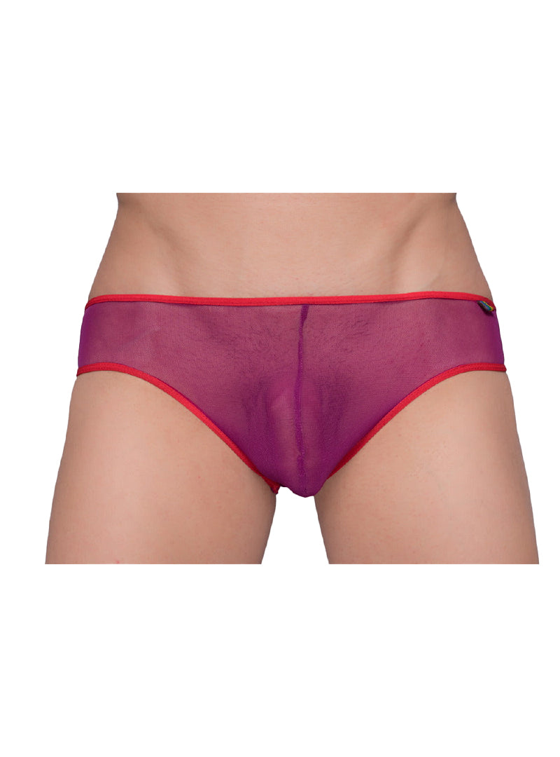 Pride Mesh Gossamer Bikini