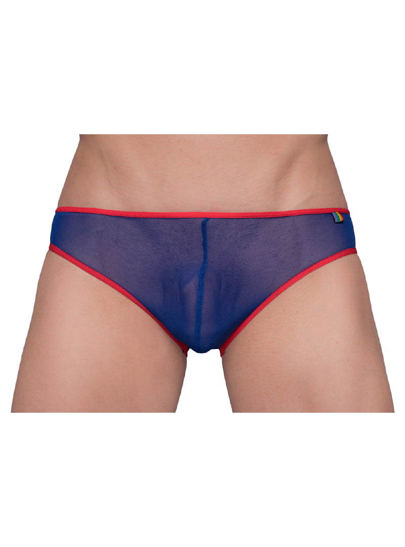 Pride Mesh Gossamer Bikini