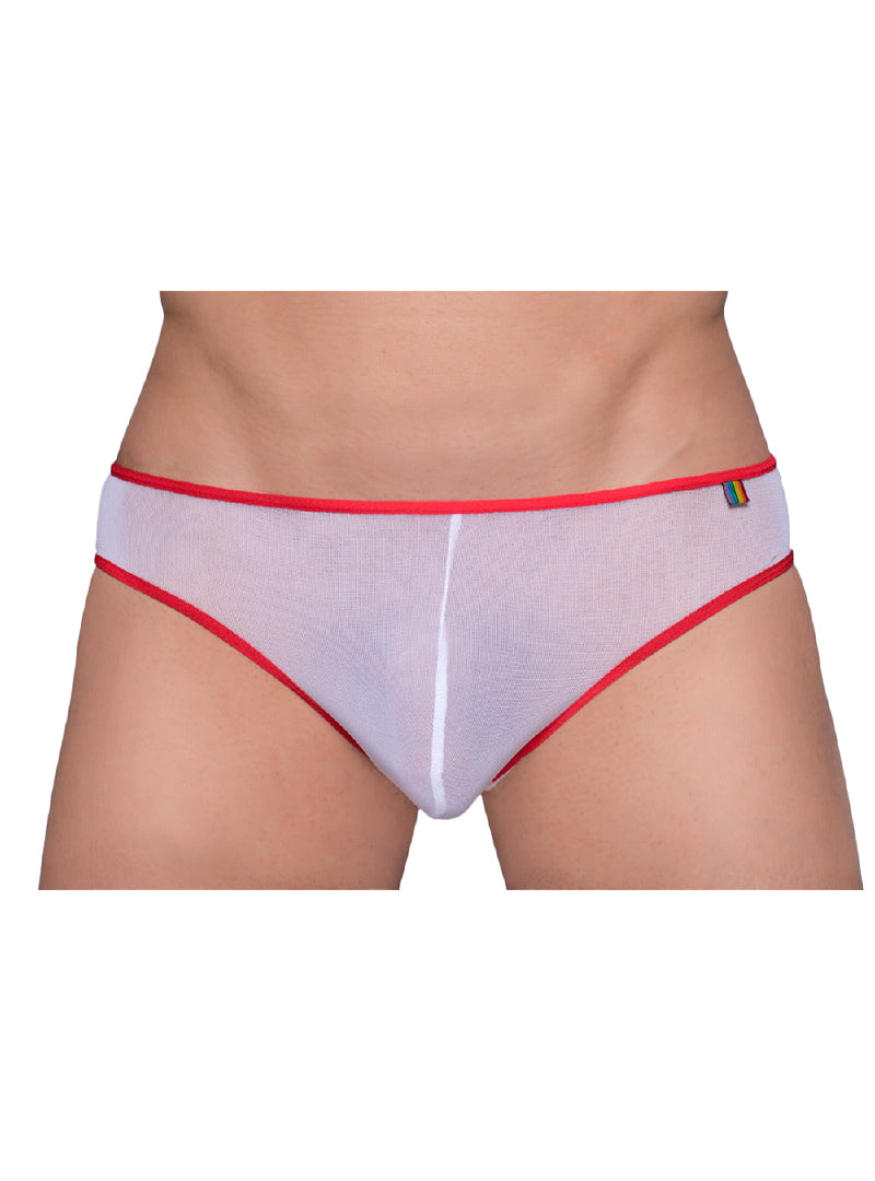 Pride Mesh Gossamer Bikini