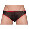 Pride Mesh Gossamer Bikini