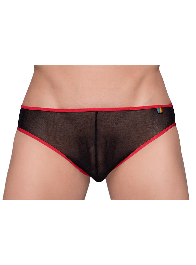 Pride Mesh Gossamer Bikini