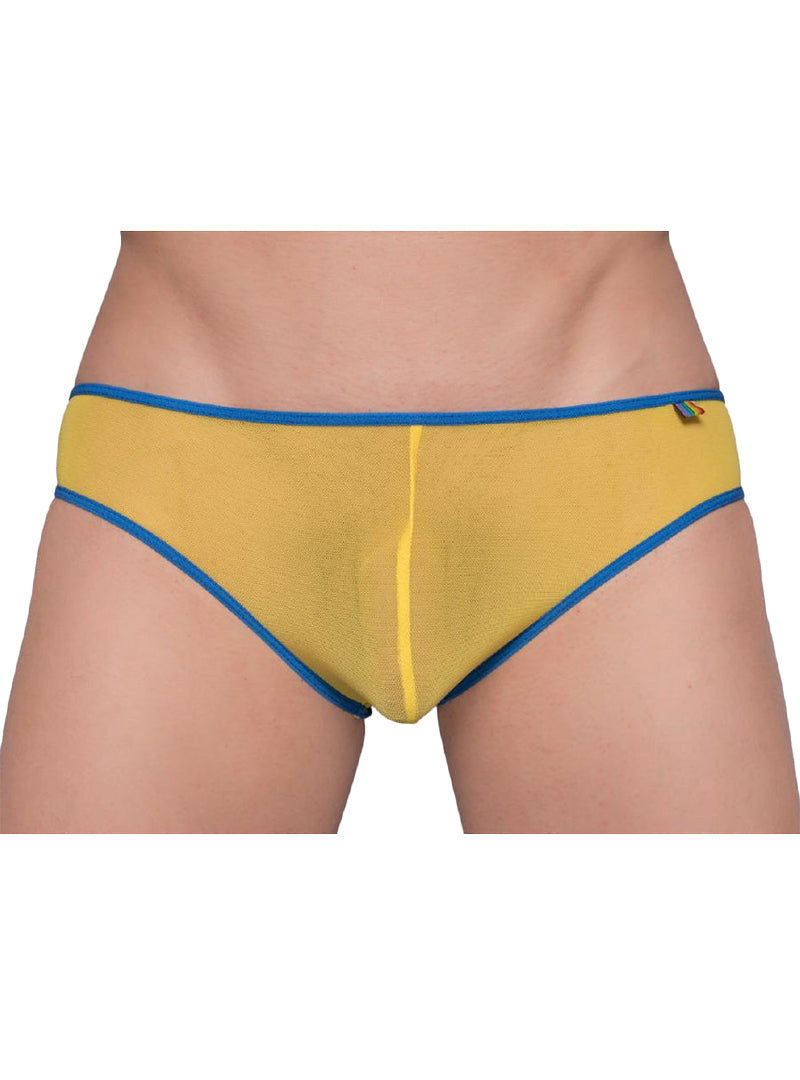 Pride Mesh Gossamer Bikini