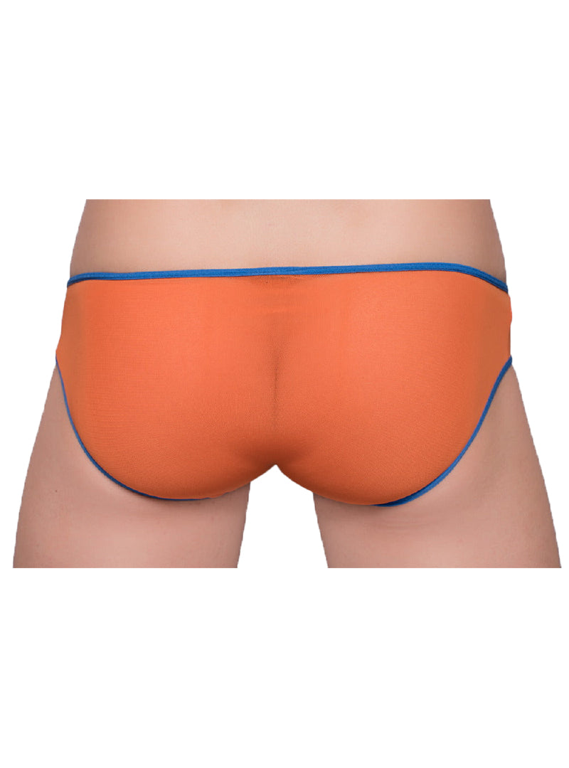 Pride Mesh Gossamer Bikini