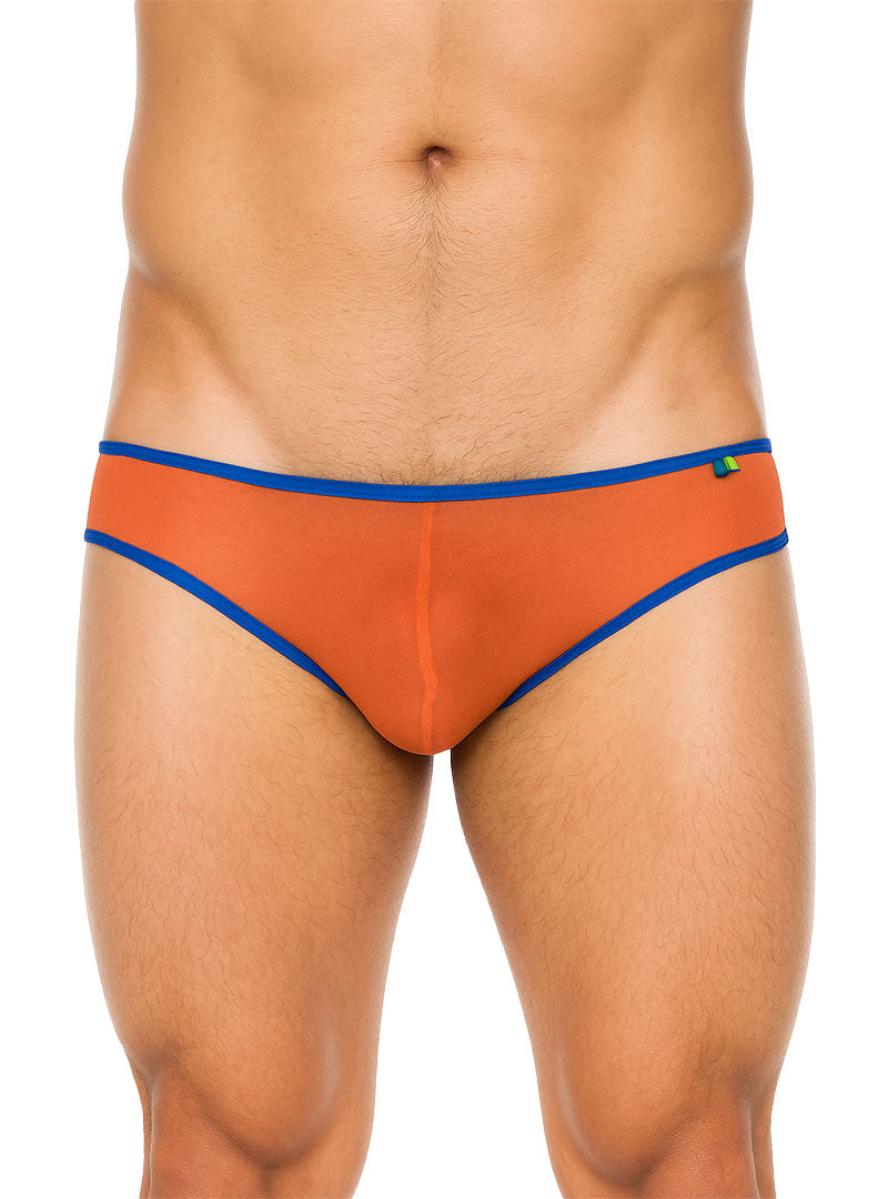 Pride Mesh Gossamer Bikini