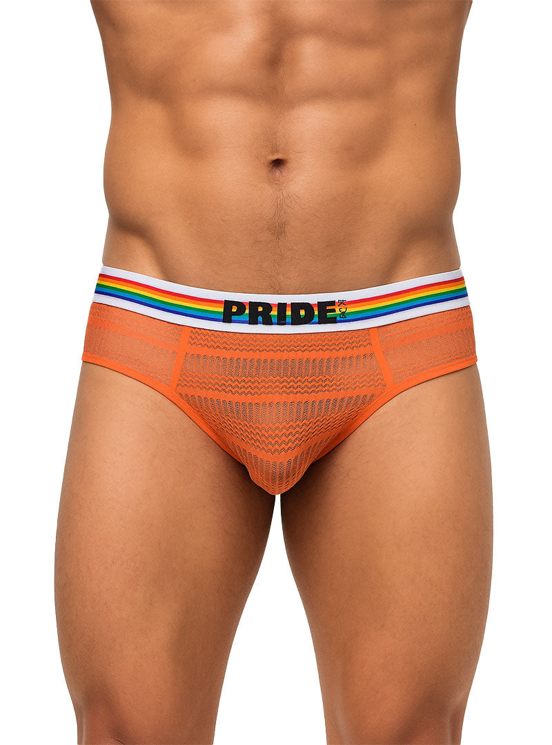 Pride Sheer Mesh Archery Brief