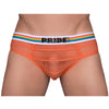 Pride Sheer Mesh Archery Brief