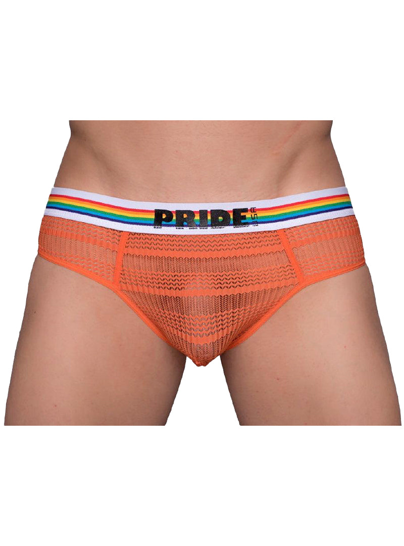 Pride Sheer Mesh Archery Brief