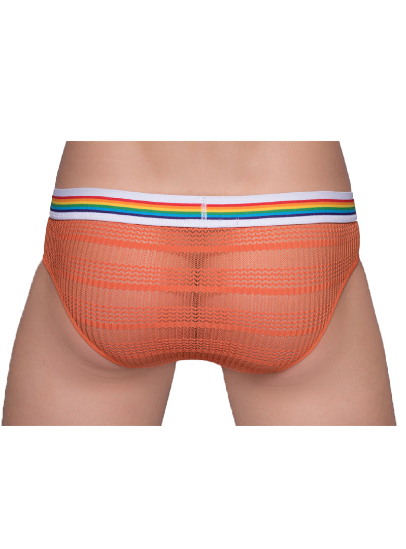 Pride Sheer Mesh Archery Brief