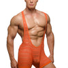 Pride Sheer Mesh Archery Wrestler Leotard