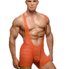 Pride Sheer Mesh Archery Wrestler Leotard