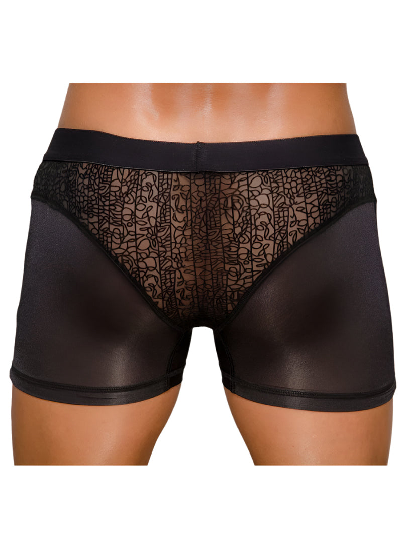 Pride Venice Lace Trunk