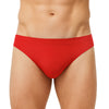 Pride_bikini