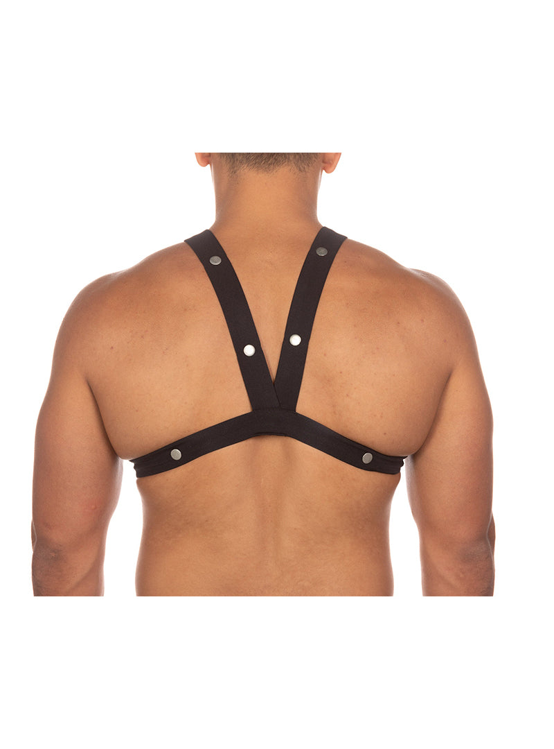 Tartarus Harness
