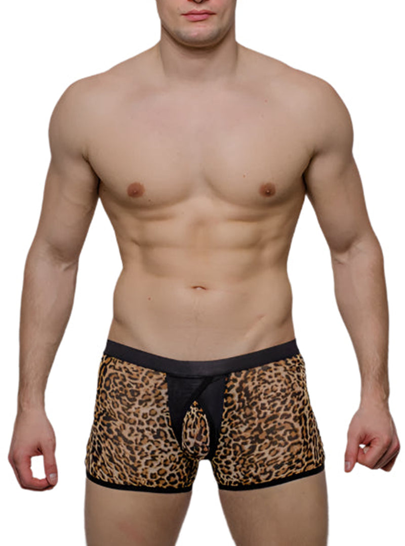 Tartarus Peakaboo Trunk