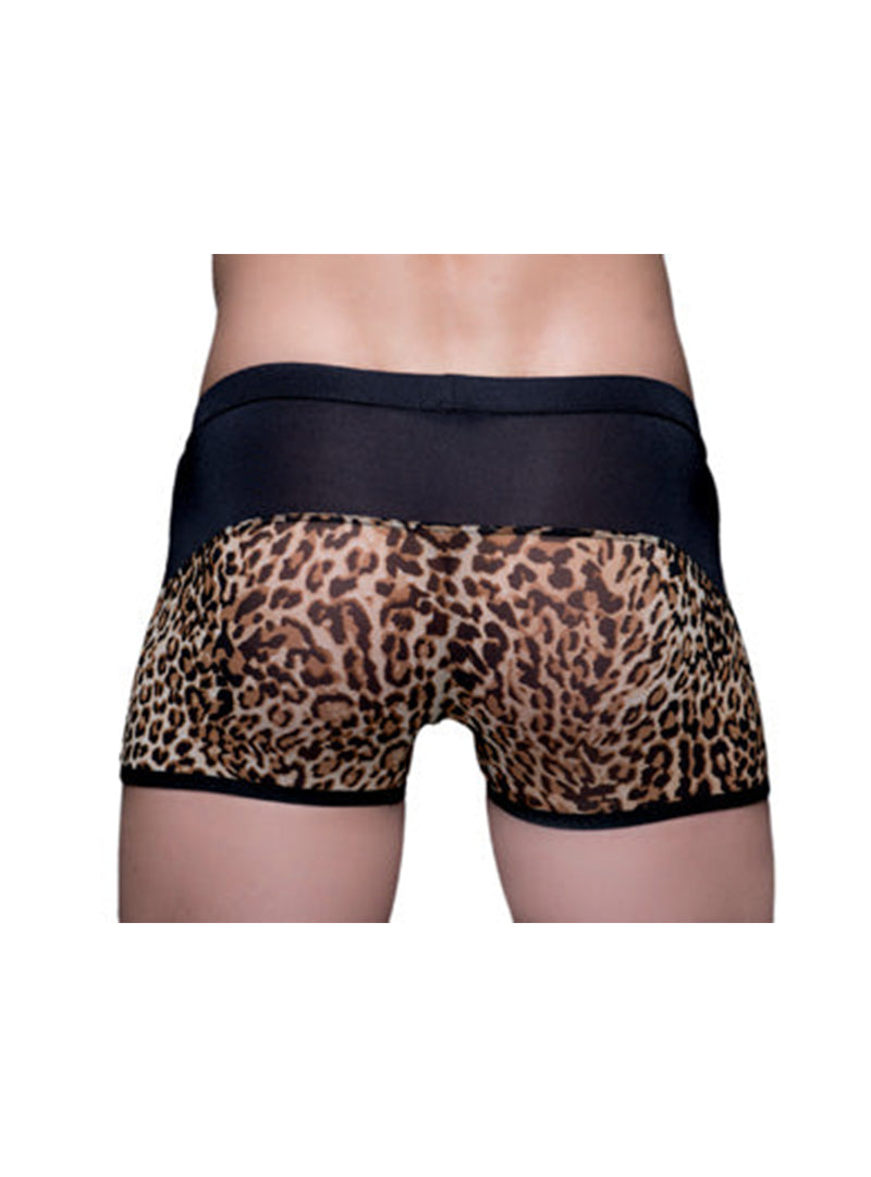 Tartarus Peakaboo Trunk 