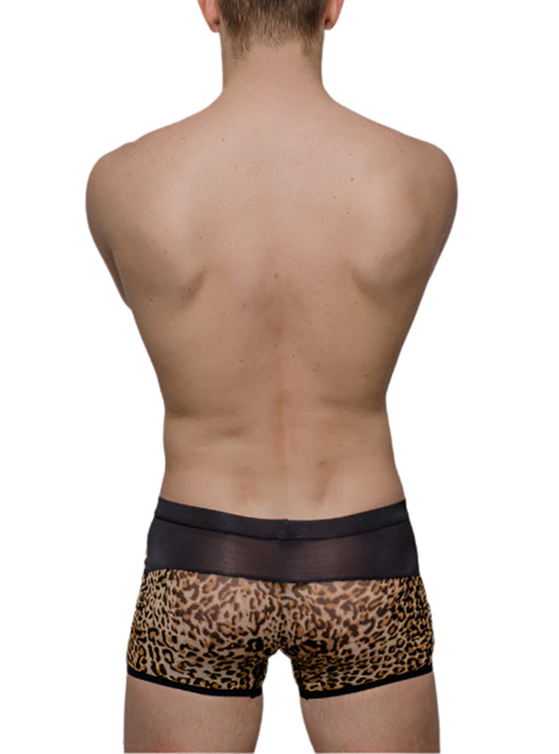 Tartarus Peakaboo Trunk