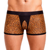 Tartarus Peakaboo Trunk