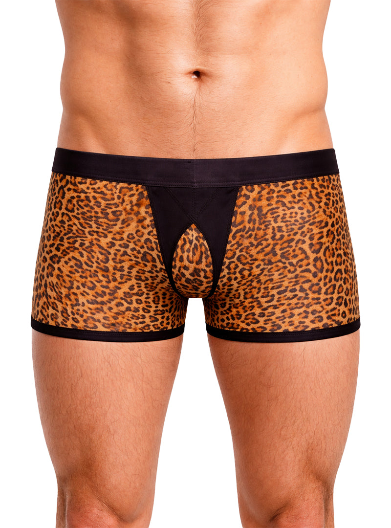 Tartarus Peakaboo Trunk