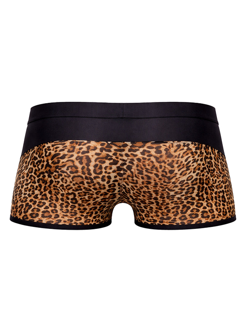 Tartarus Peakaboo Trunk