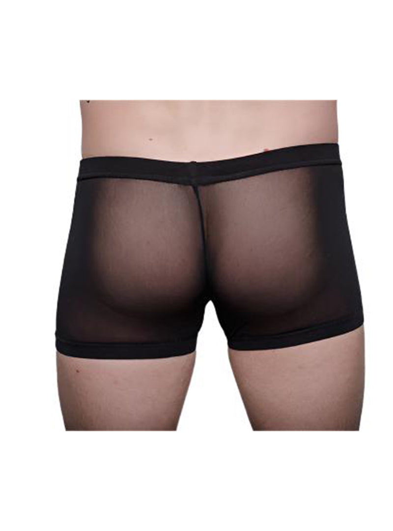 Tartarus Zephyr Mesh Trunk