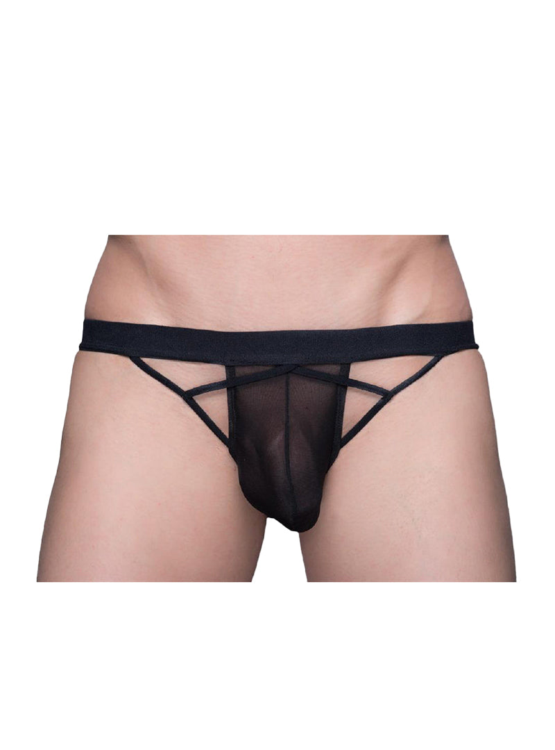 Tartarus Wicked Web Brief