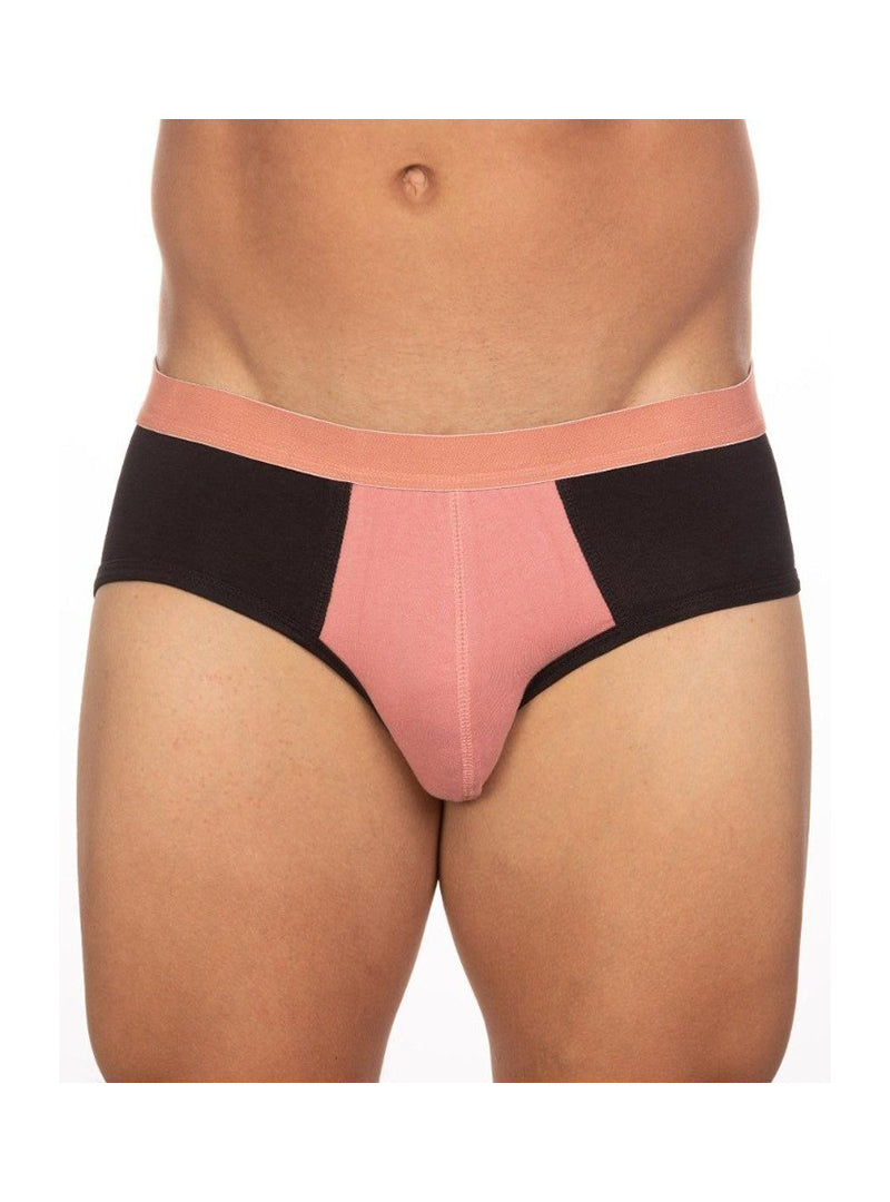 UNDERGEAR BASIX STAN TWO TONE BRIEF