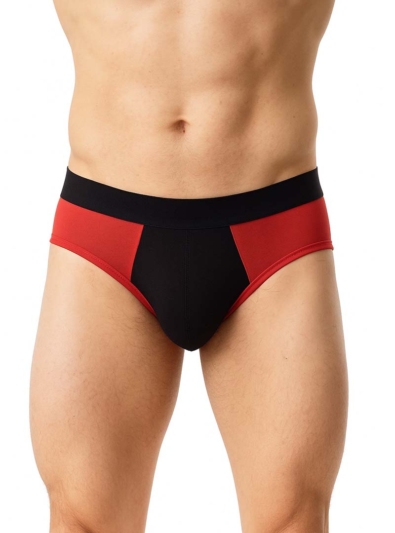 UNDERGEAR BASIX STAN TWO TONE BRIEF